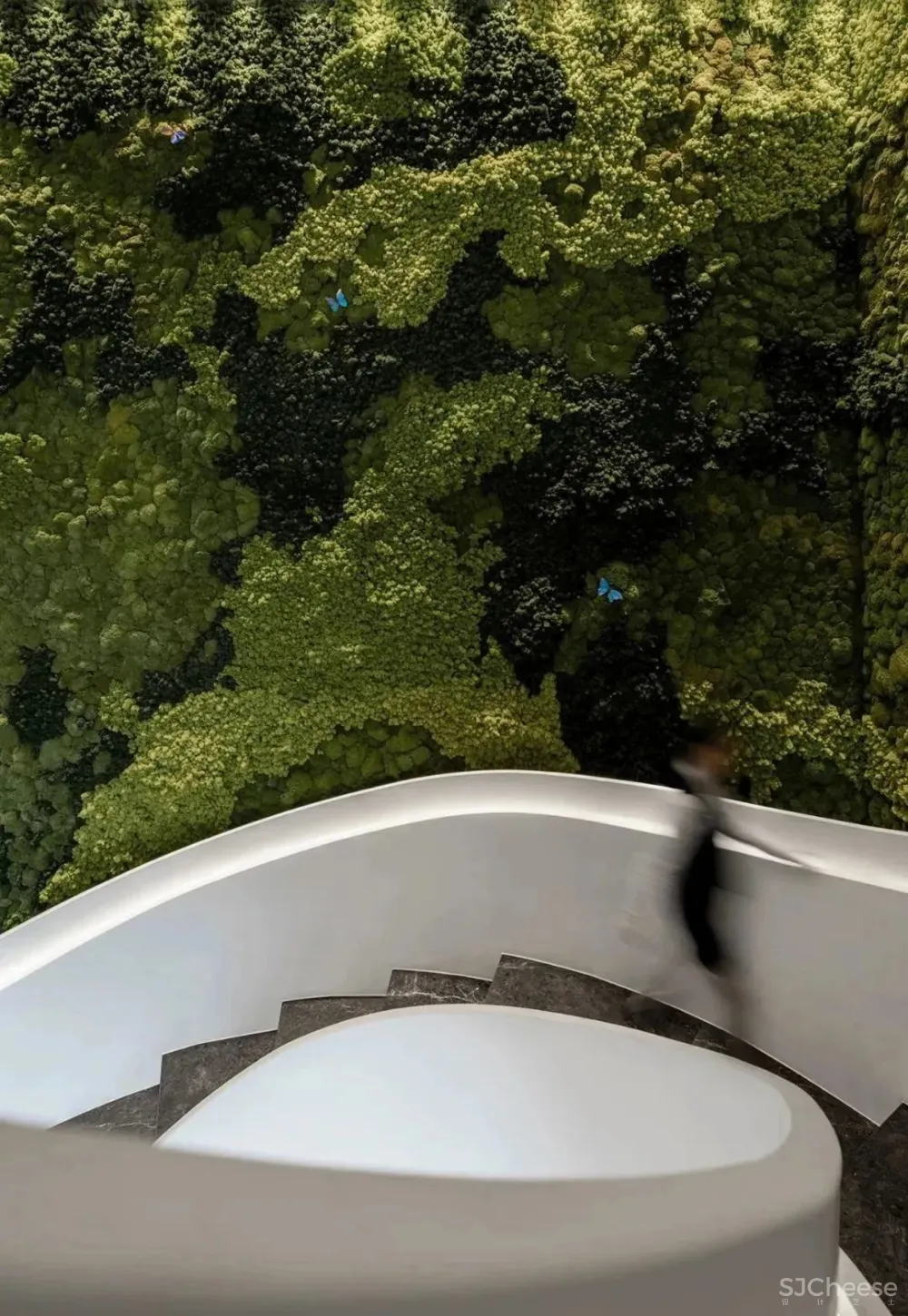 庄生晓梦 蝶舞中原 春山秋水