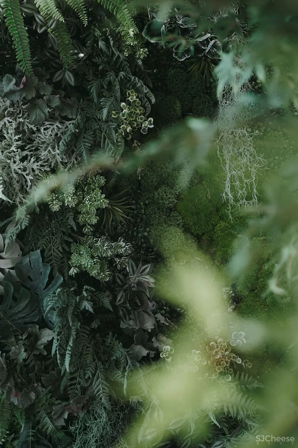 PONE普利策 万物几何,解构野性的诗意