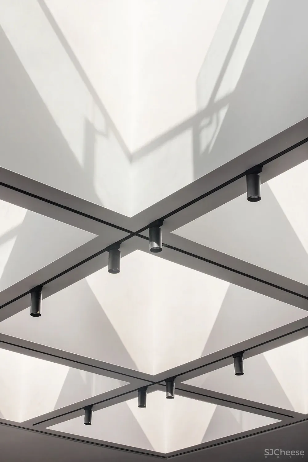 S C D 身居繁华,心归自然