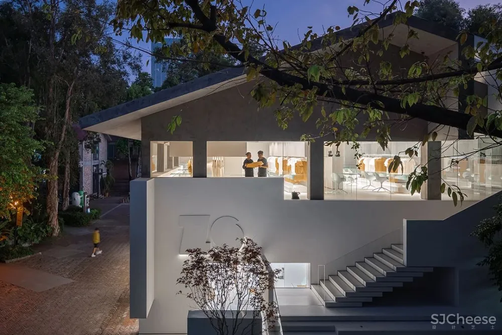 DOMANI 东 仓 白 · ZS Lab