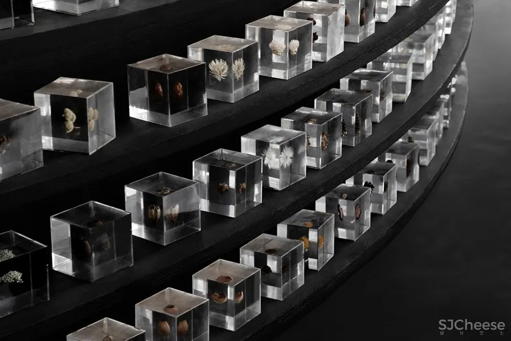 PONE普利策 万物几何,解构野性的诗意