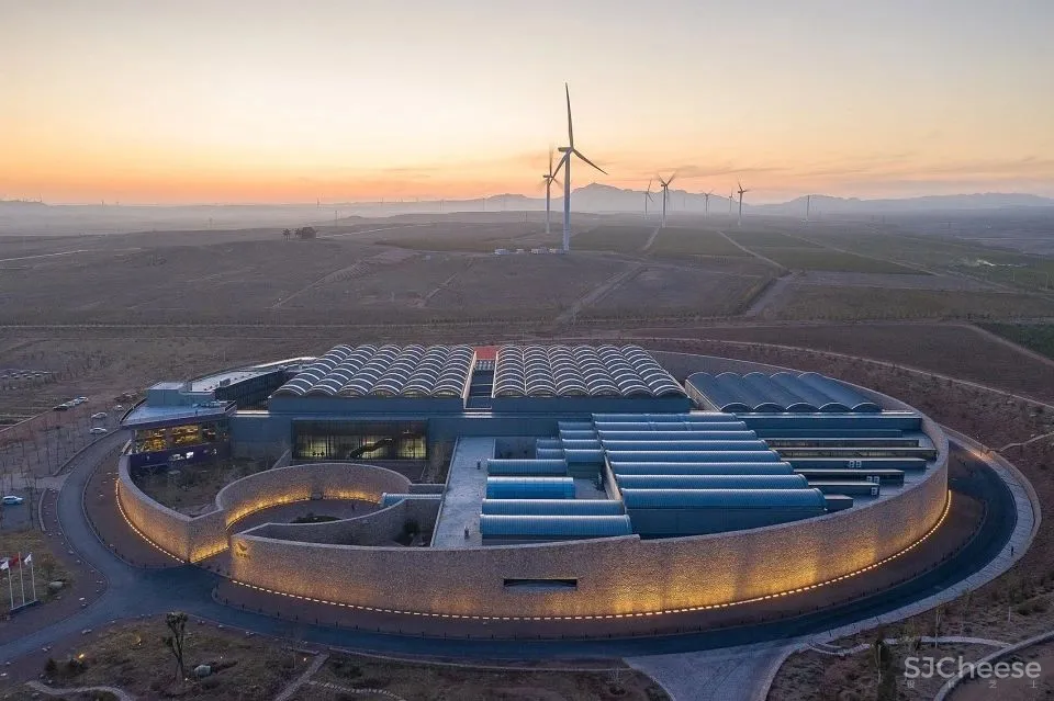 Winner 相上文象 × 西鸽酒庄：获 Best of Year Awards 2020年度最佳大奖