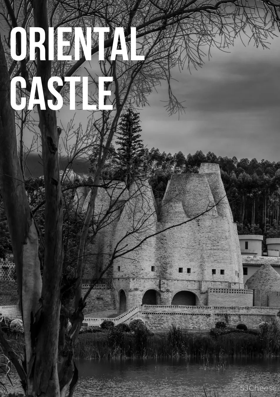 CCD 半朵雲遊天地間