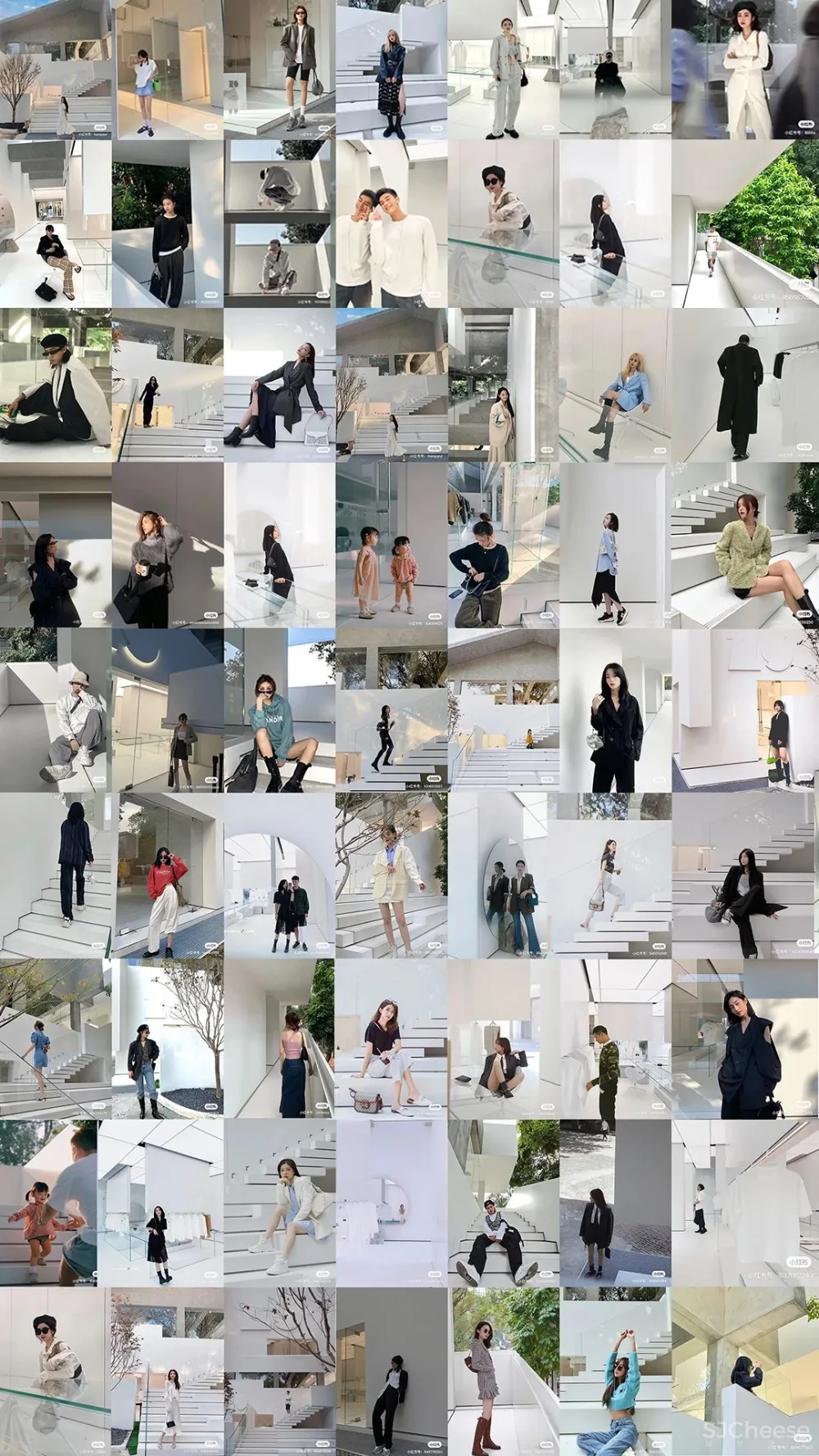 DOMANI 东 仓 白 · ZS Lab