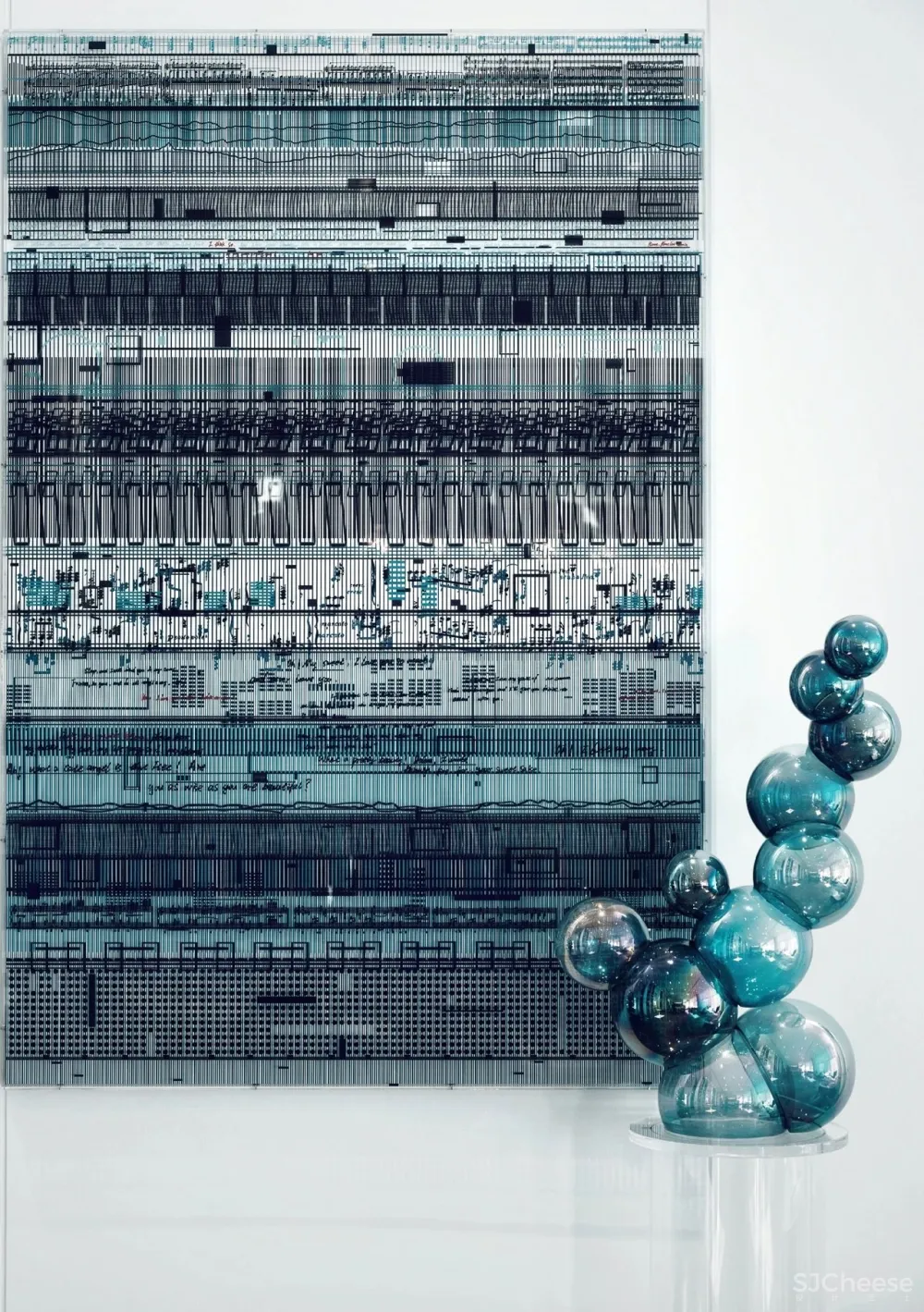 光影下的自然之舞，别具一格的清丽灵动！