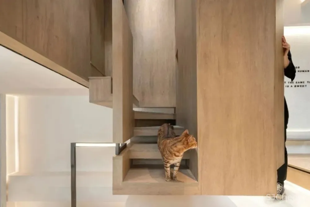 窝·居 2020东方卫视《梦想改造家》丨谢英凯设计