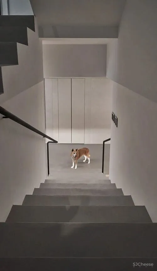 极简原木风独栋住宅｜虫点子新作