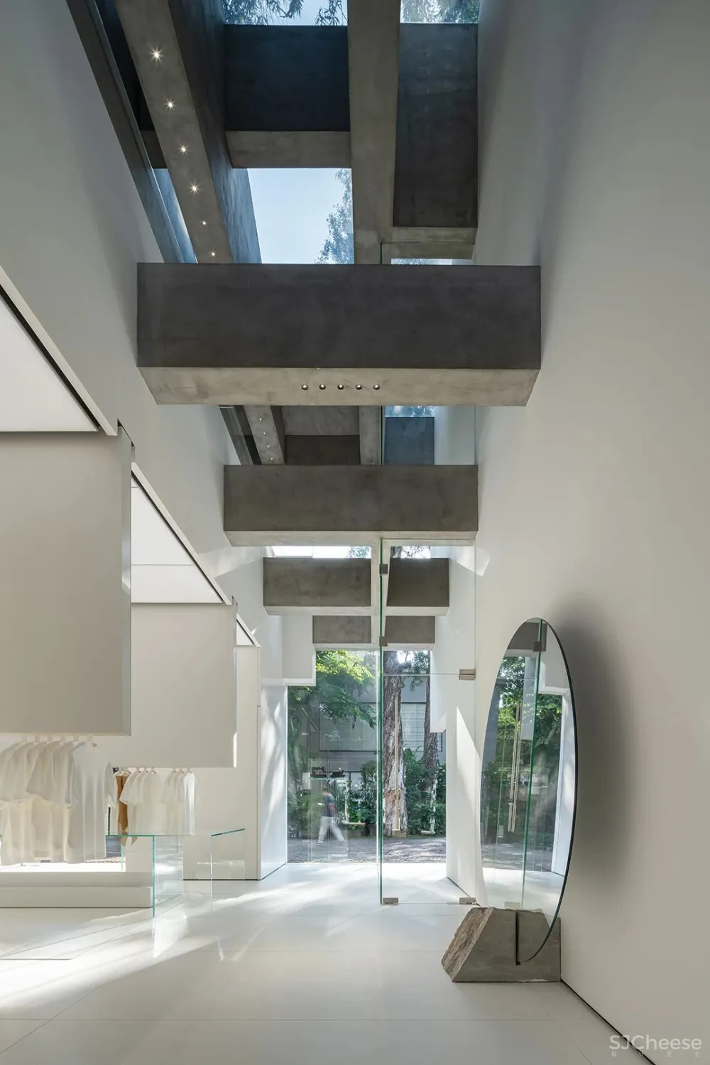 DOMANI 东 仓 白 · ZS Lab