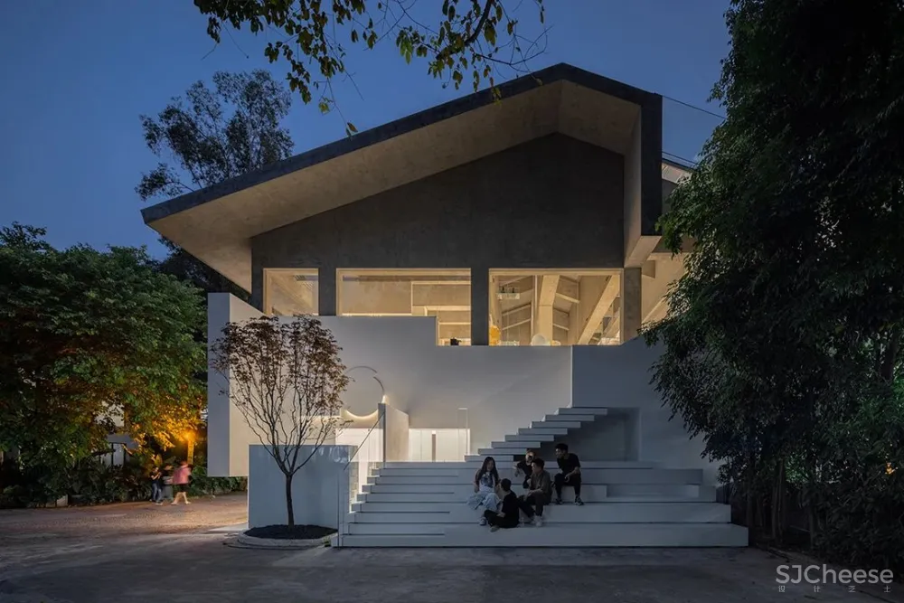 DOMANI 东 仓 白 · ZS Lab