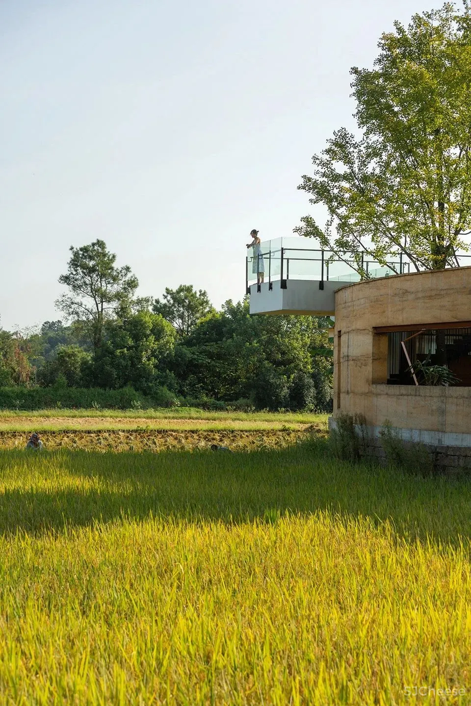 稻田里的农舍 自带烟火温度的家