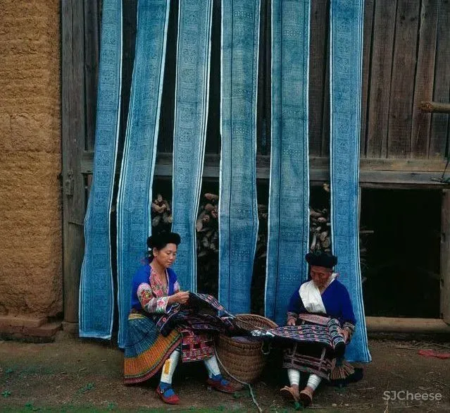 CCD 半朵雲遊天地間