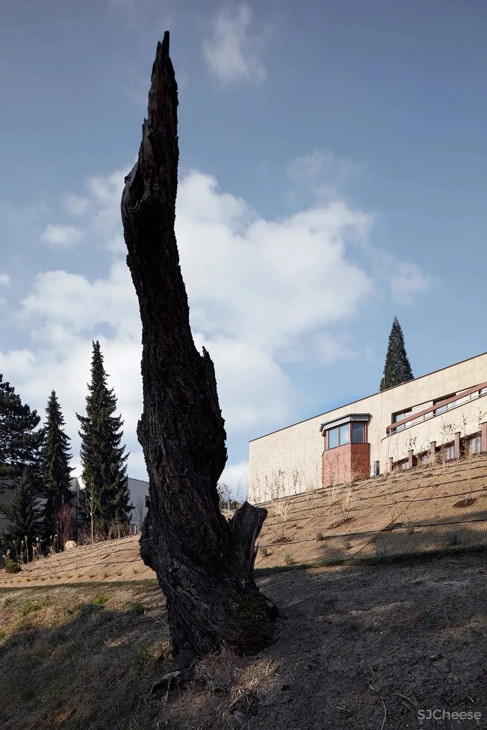 idhea 功能主义风格别墅的重生 “Indian Ship”别墅改造