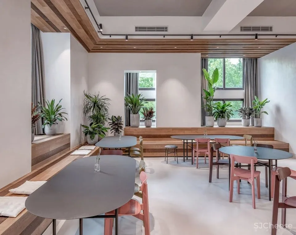 每走10步1个玩法的合住空间！那年轻人真的是太快乐了！