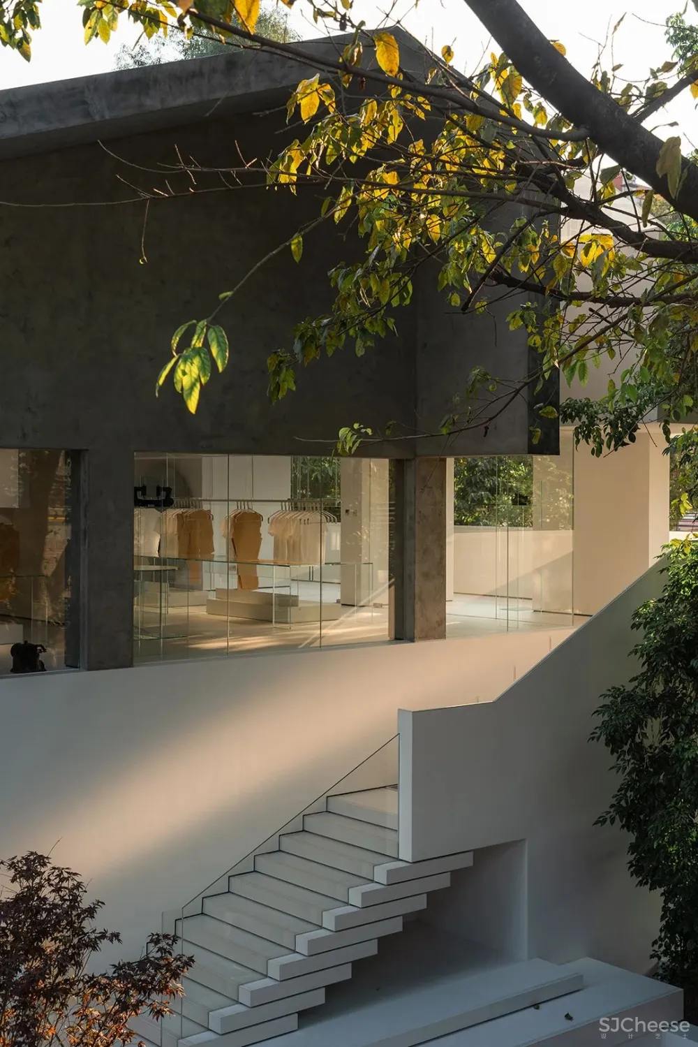 DOMANI 东 仓 白 · ZS Lab