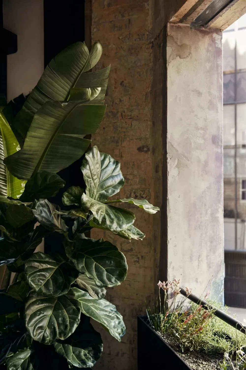 老仓库改酒店,粗糙的样子也很美