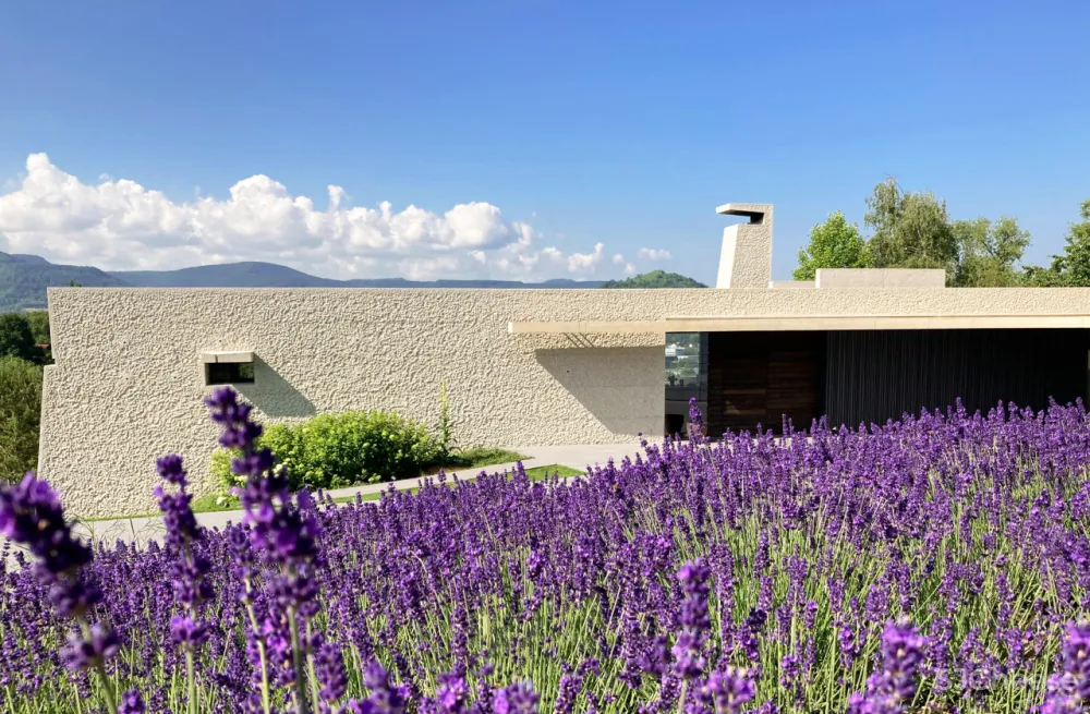 德国建筑师设计的别墅,混凝土又被玩出新花样