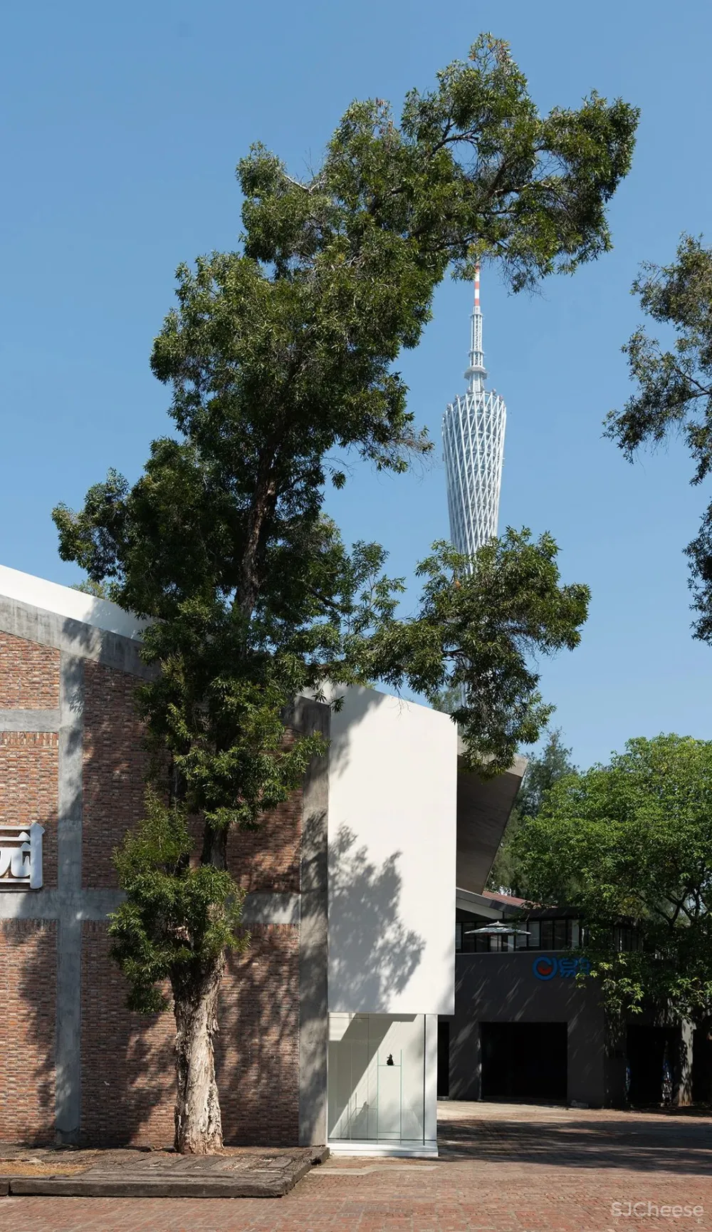 DOMANI 东 仓 白 · ZS Lab