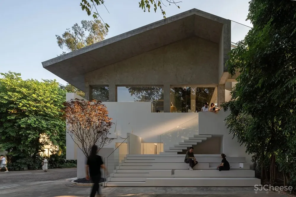 DOMANI 东 仓 白 · ZS Lab