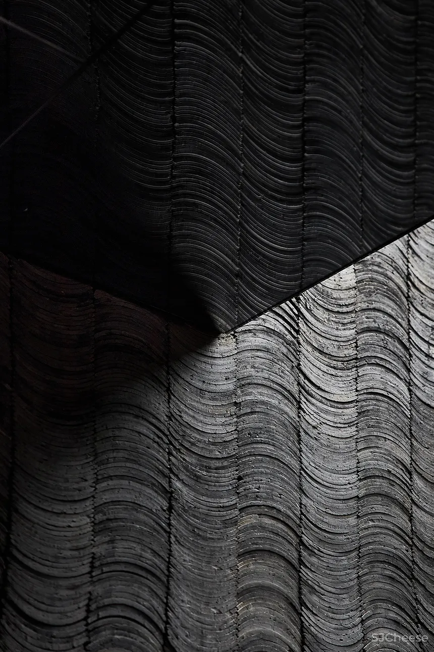 唐忠汉:光影之间!