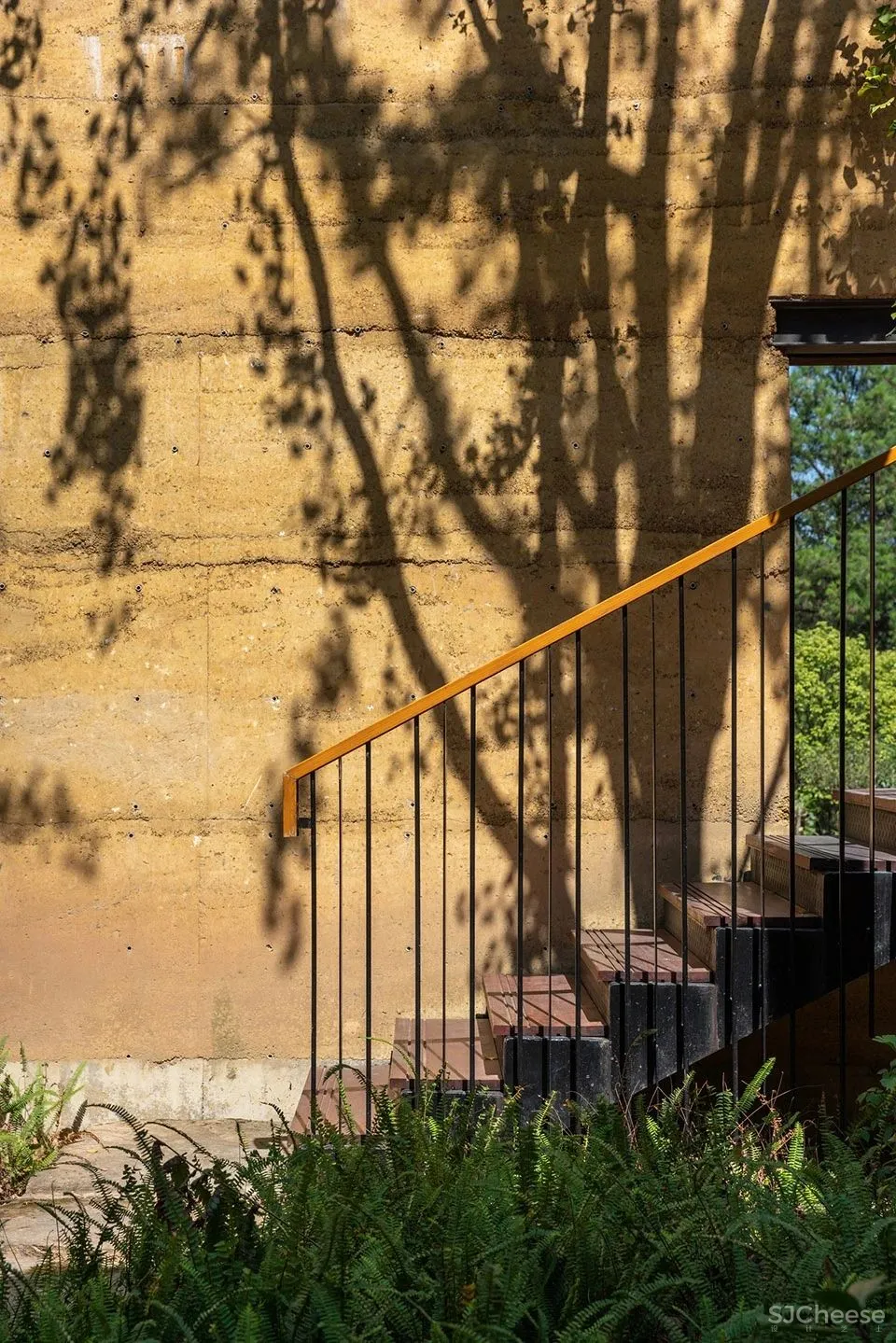 稻田里的农舍 自带烟火温度的家