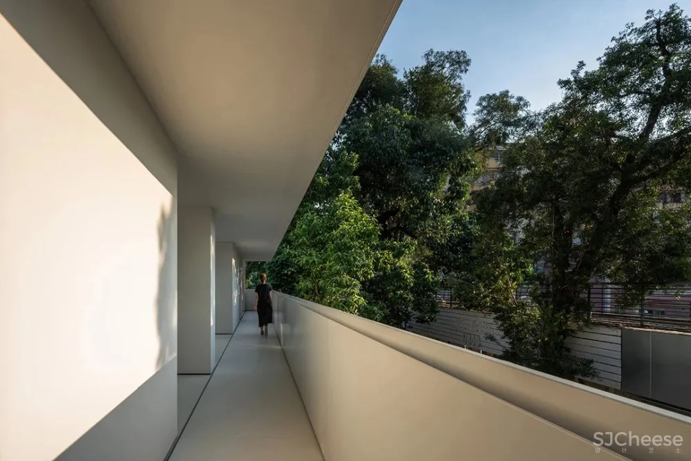 DOMANI 东 仓 白 · ZS Lab