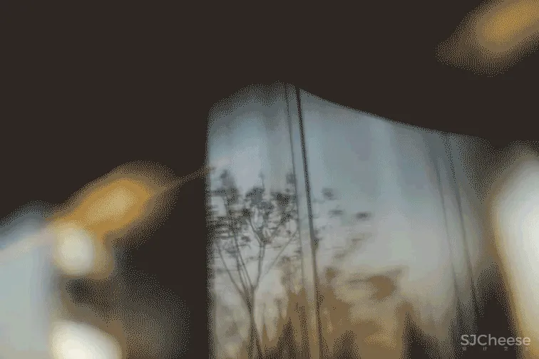 PONE普利策 万物几何,解构野性的诗意