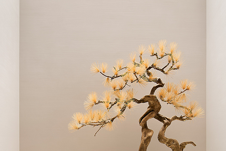 矩阵纵横:祥生 · 江南里