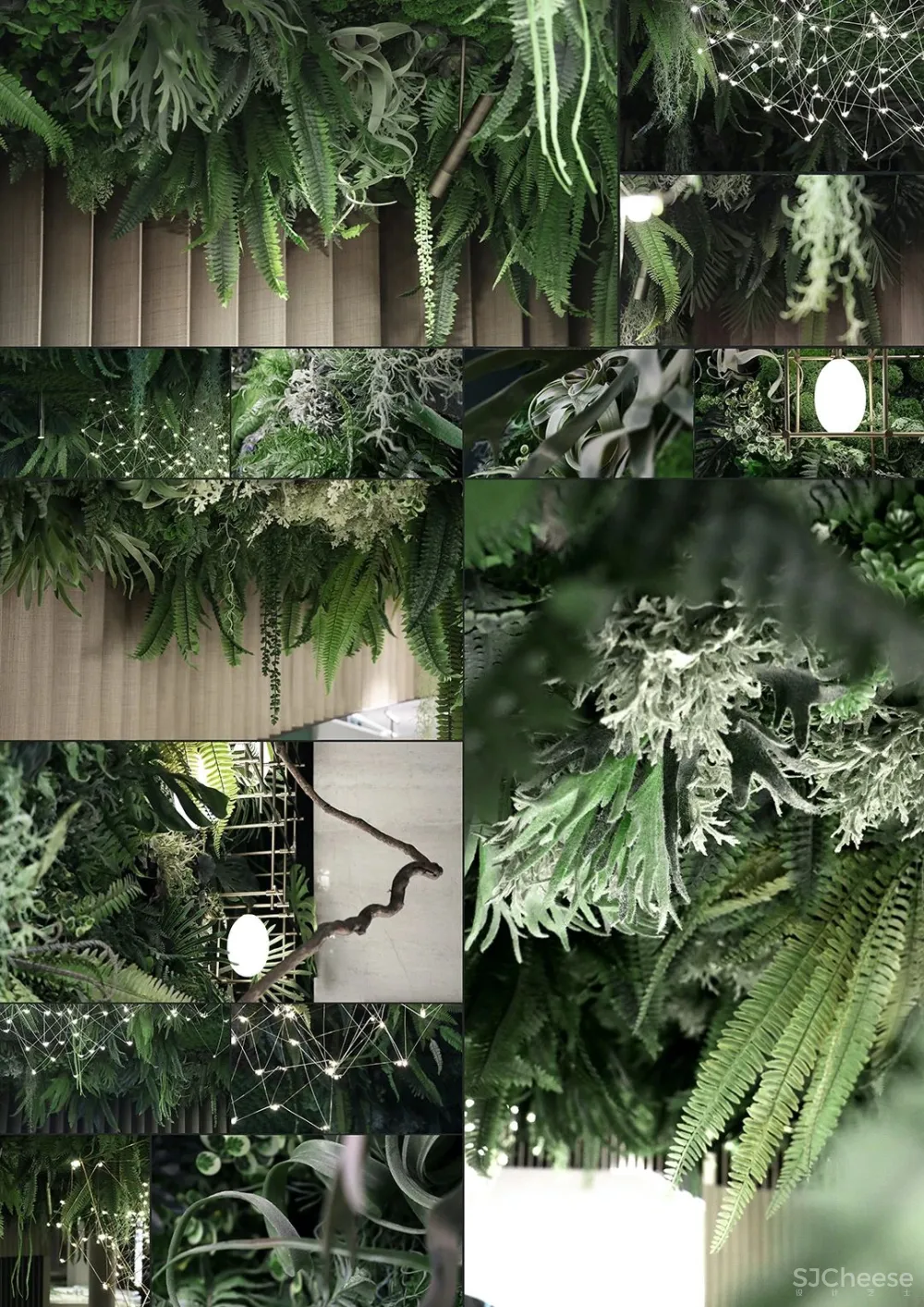 PONE普利策 万物几何,解构野性的诗意