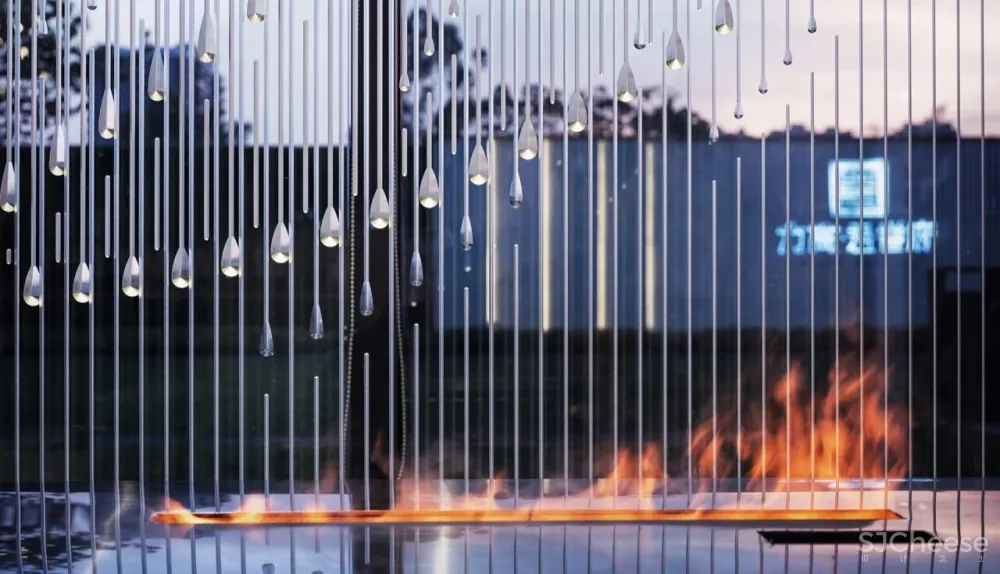 光影下的自然之舞，别具一格的清丽灵动！