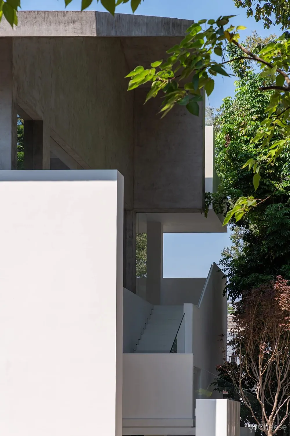 DOMANI 东 仓 白 · ZS Lab