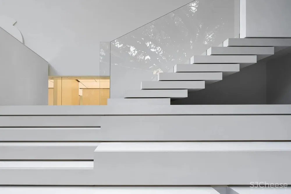 DOMANI 东 仓 白 · ZS Lab