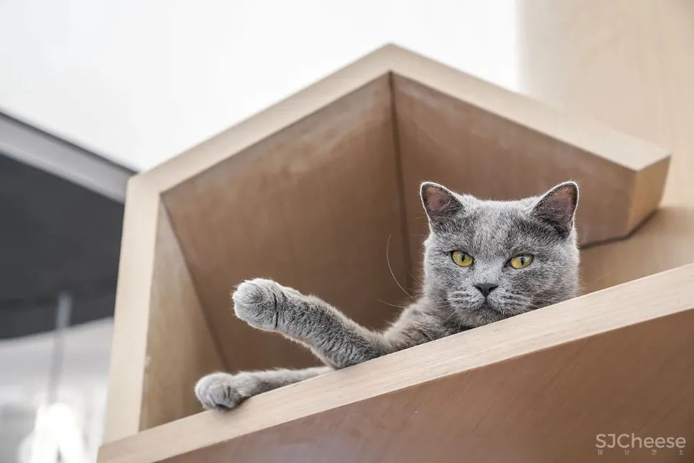 潮玩乌托邦，95后的潮趣梦想地带！