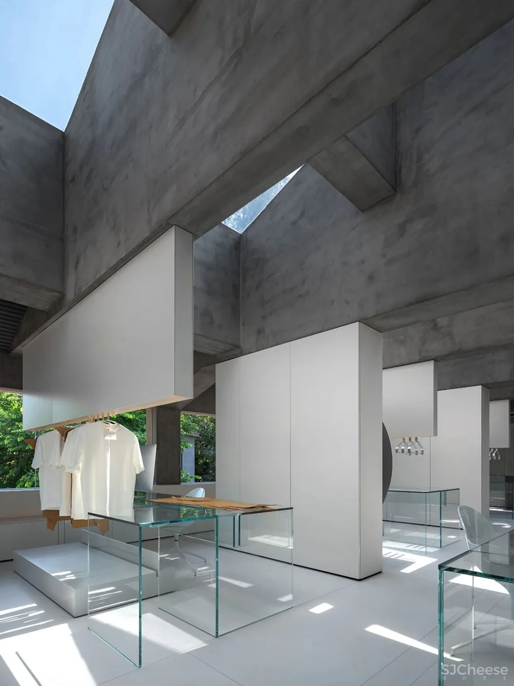 DOMANI 东 仓 白 · ZS Lab