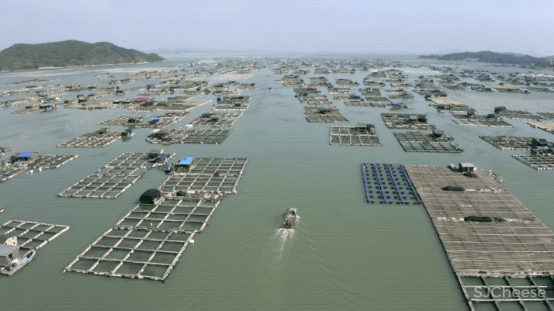 福建小哥租下一片海,造600㎡漂浮大平层:我随时可以与世隔绝