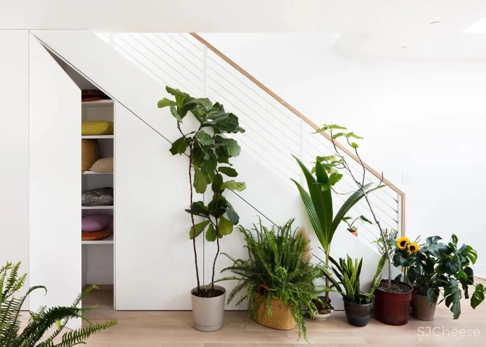 软装设计,丰富内涵