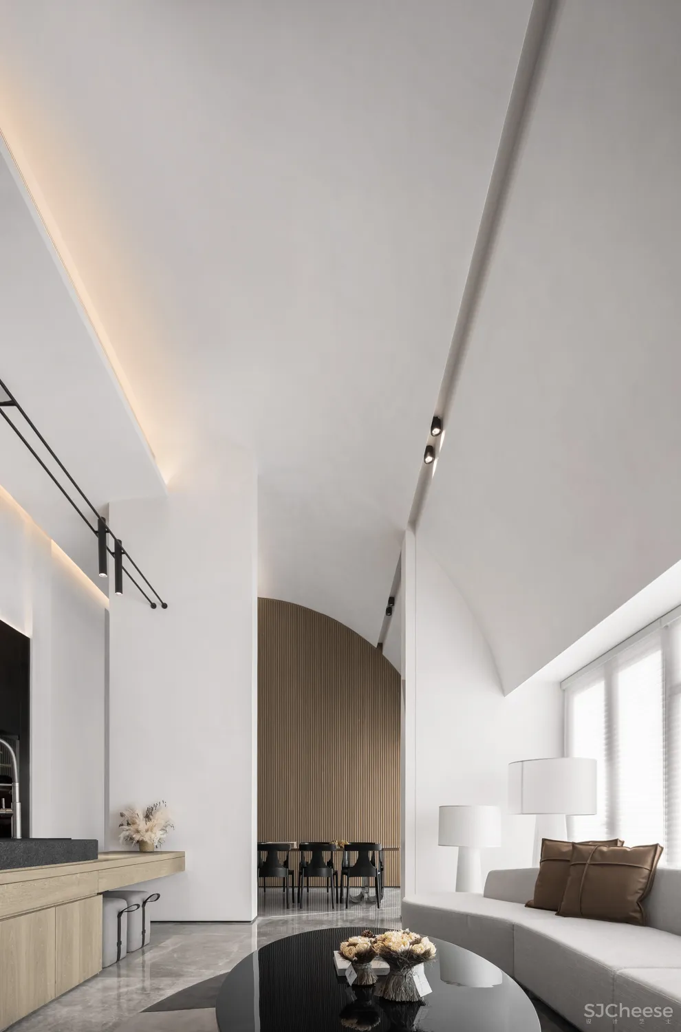 唐忠汉:城市飞行!