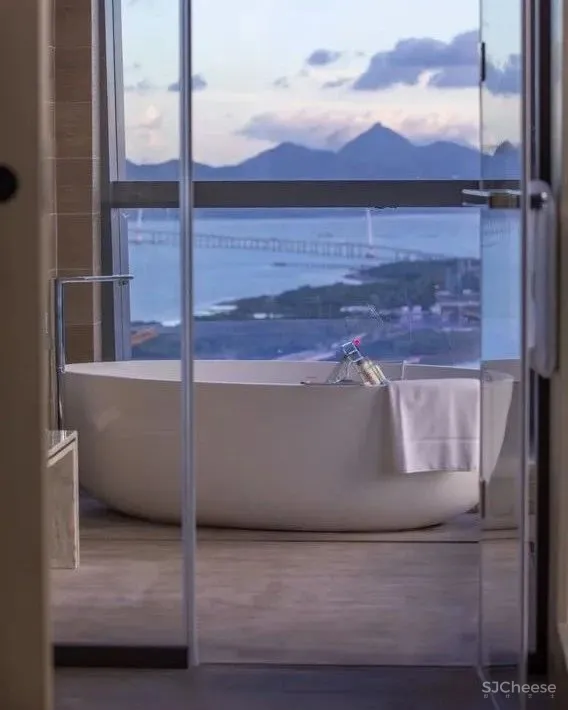 万豪旗下中国最贵万丽酒店:深圳湾「万丽酒店」大春笋 山海景观