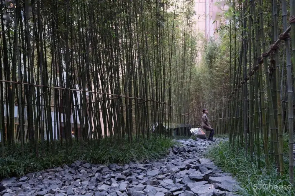 北京大兴国际机场木棉花酒店-“新国门”的旅人书房