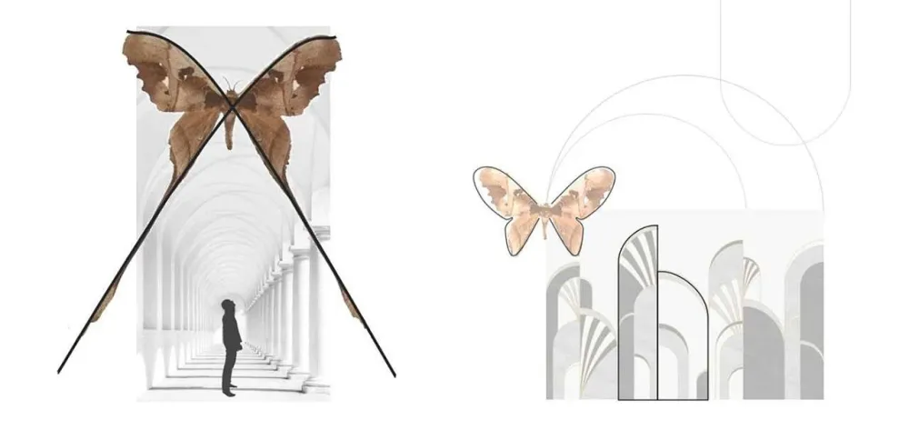 伍玛设计：翩然蝶羽，绽放生之美的灵动绝境！