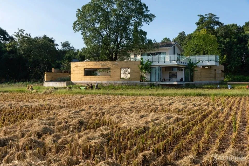 稻田里的农舍 自带烟火温度的家