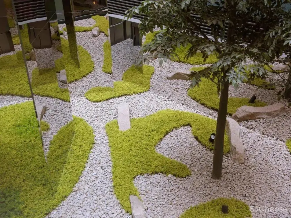 北京大兴国际机场木棉花酒店-“新国门”的旅人书房