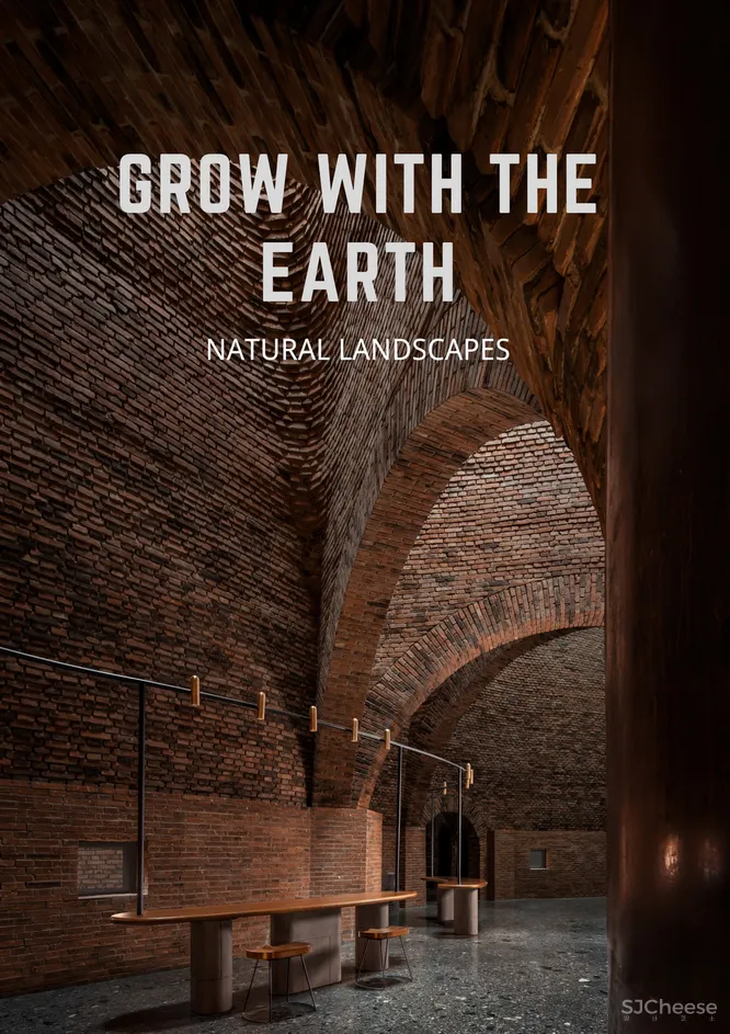 CCD 半朵雲遊天地間