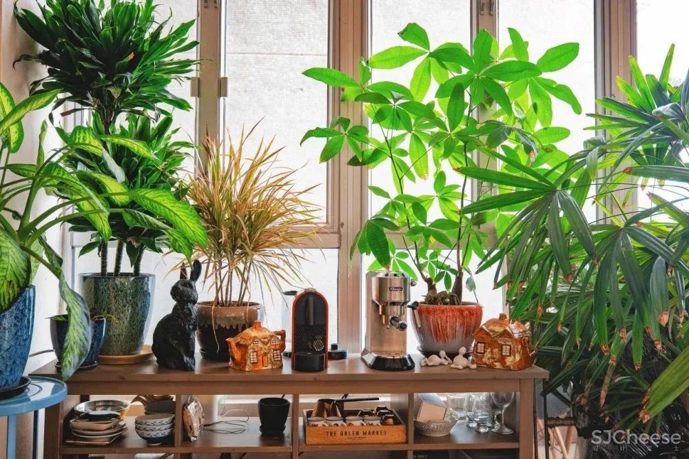 什么样的房子越住越旺?一看就懂,值得收藏!