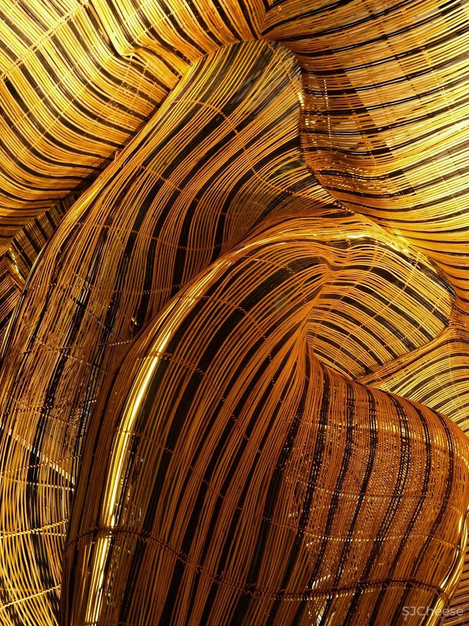 SPICE - BARLEY餐厅 ·引入创新和生态意识