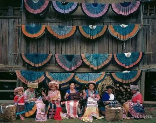 CCD 半朵雲遊天地間