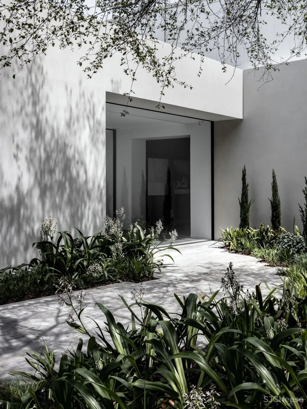 Carr Design | The Internationa , 与自然环境对话