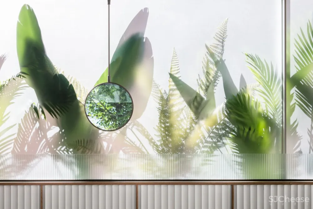 Labotory | Honest Sushi , 诚实和热情的融合