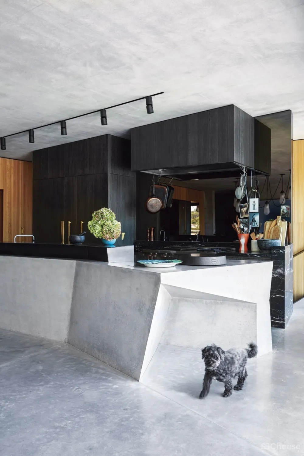 Terroir Architects | Sydney Family Home , 现代大胆的混泥土住宅