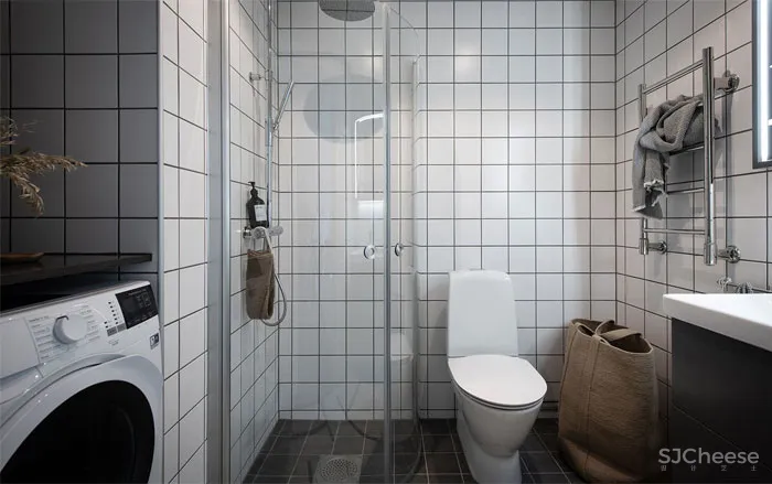 小型斯堪的纳维亚风格公寓