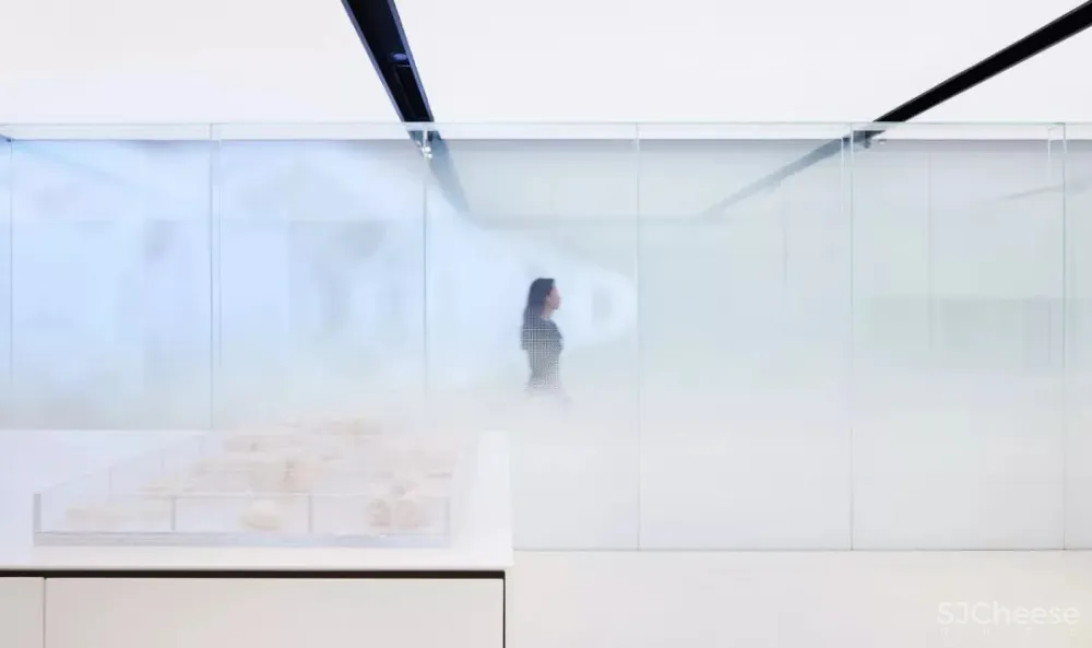 极简白 灰砖,格调十足的先锋艺术馆! 共生形态